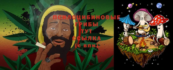 PSILOCYBIN Лиски