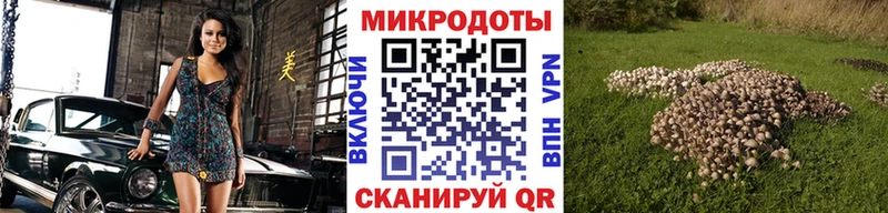 shop официальный сайт  Орёл  Псилоцибиновые грибы ЛСД  дарнет шоп 
